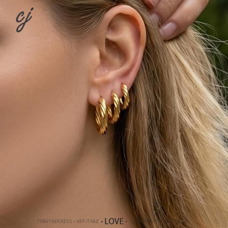 Linea petite gold earrings with linear detailing, 316L stainless steel — Crown Crest Jewel
