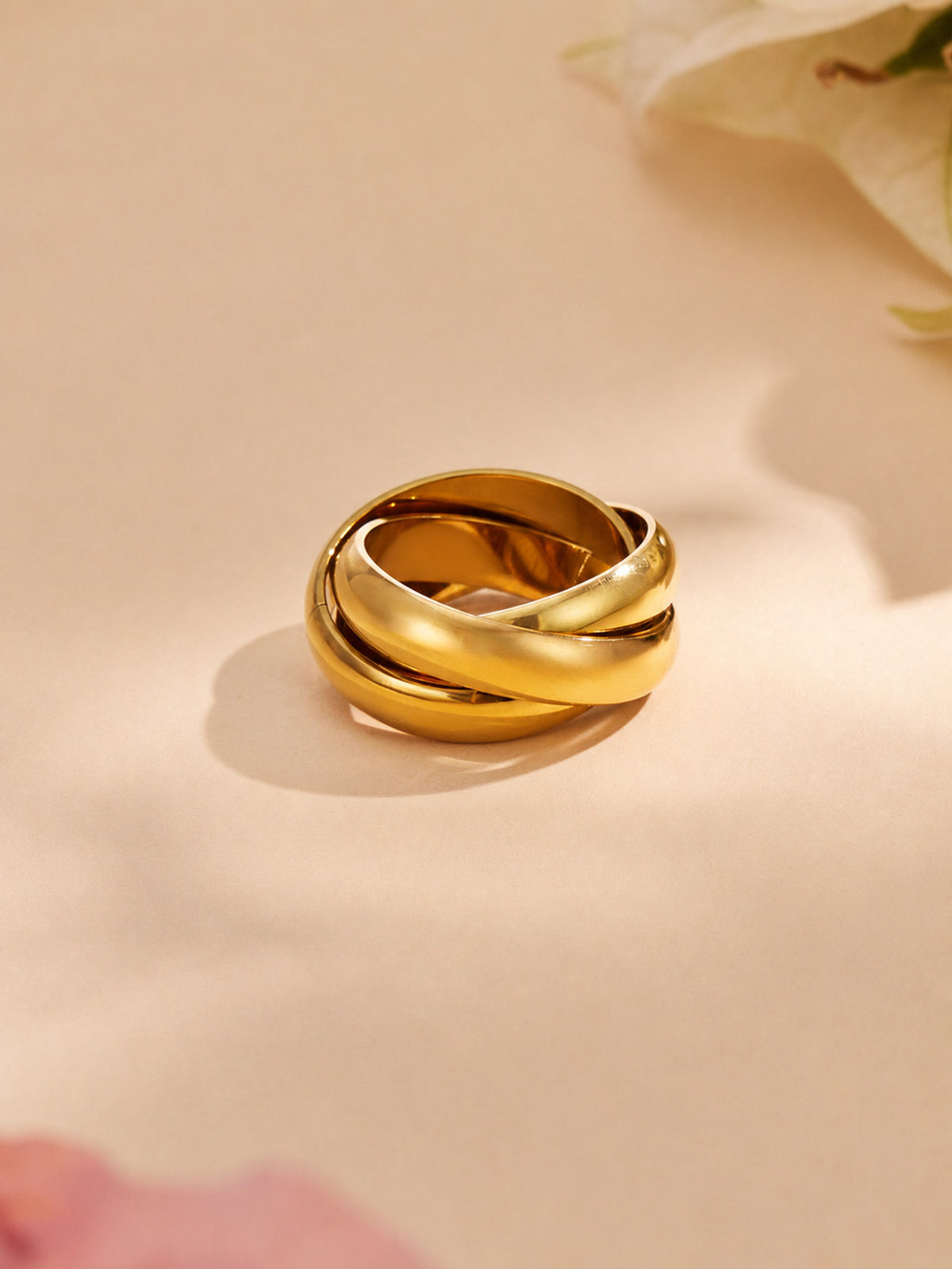 Trielle silver ring with three interlocking bands, 316L stainless steel — Crown Crest Jewel
