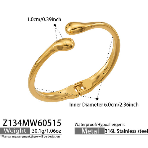Dhahabu gold-tone hinged bangle in 316L stainless steel — Crown Crest Jewel